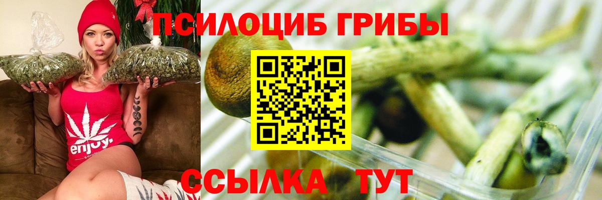 Псилоцибиновые грибы Psilocybine cubensis  Вход с VPN  Галлюциногенные грибы Magic Shrooms  Ачинск 